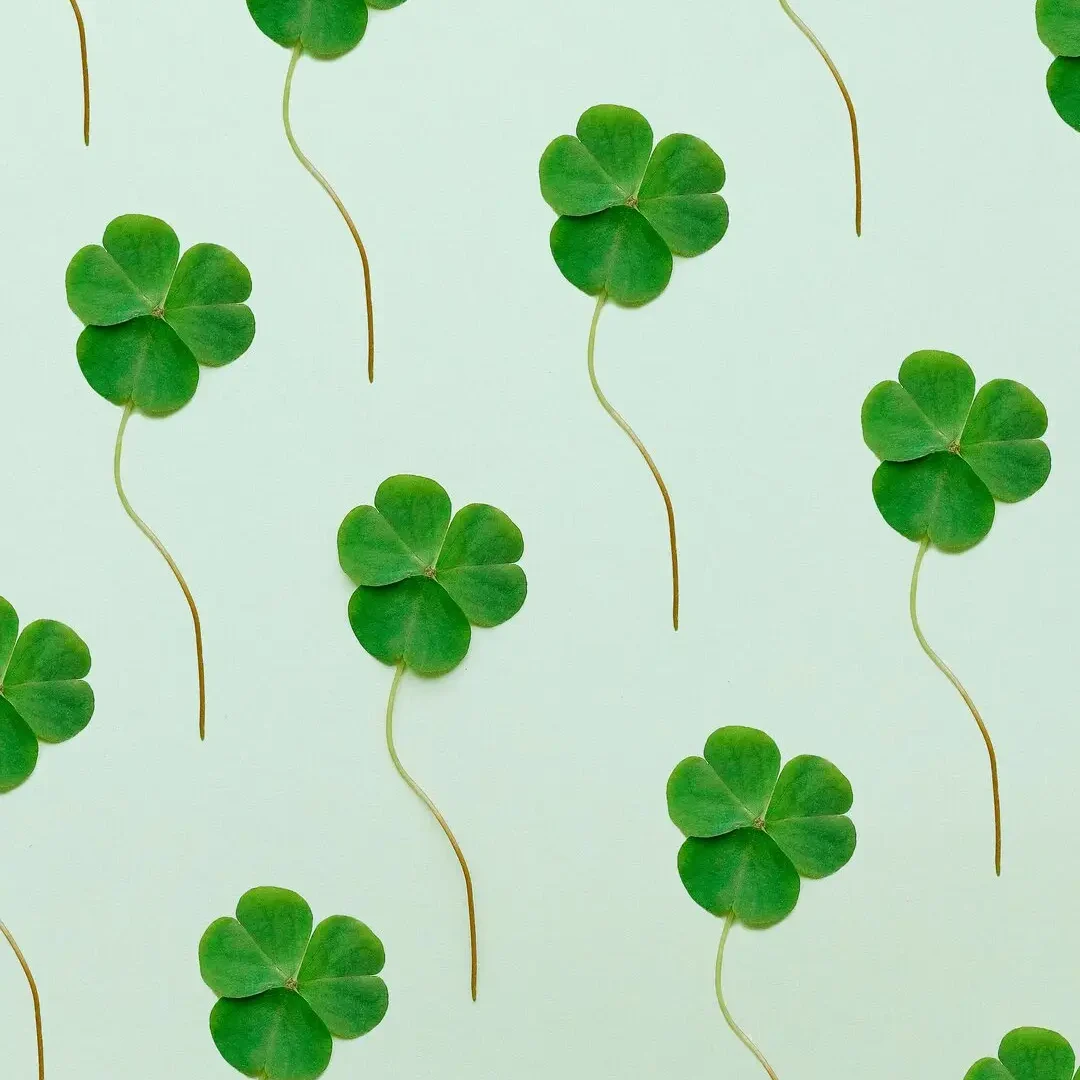 pexels-shvetsa-3876635 (1) (2)